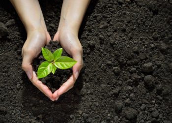 IoT for agriculture use cases: Oizom monitors soil irrigation for healthier crops