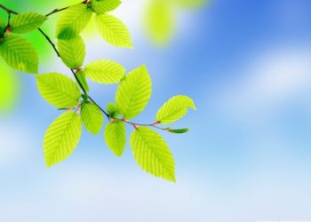 Cloudleaf raises $26 million in series B funding to improve supply chain operations